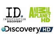 Discovery Networks    3  
