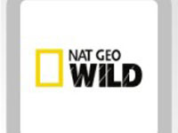  Nat Geo Wild HD   HD