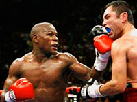 ��������� ���� ������� ������� ��������