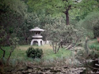 ��������� ���������� 21 ������� �������� ���� �������� � �������� �����