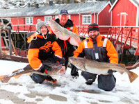 ��������� ������� � ������� HD ������� �������� ������ � ������� � ��������