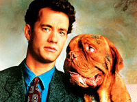 �������� ������ ������� �� ���� ����� ������� ������ � ������� ������