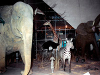 ��������������� ������������ ����� � ��������� National Geographic ������ ��������������