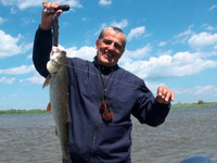 ���������� ��������� � ������� ������� � ��������