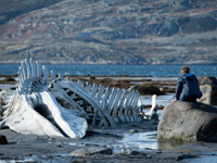 ����� TV1000 Premium HD ������� ����� ������ ���������� ��������