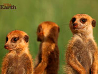 ������ �7 ��������� �� ������ ����� ���������